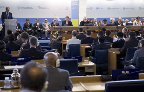 Over 100000 Migrants Arrived in Europe by Mediterranean Since January: IOM Over 100000 Migrants Arrived in Europe by Mediterranean Since January: IOM