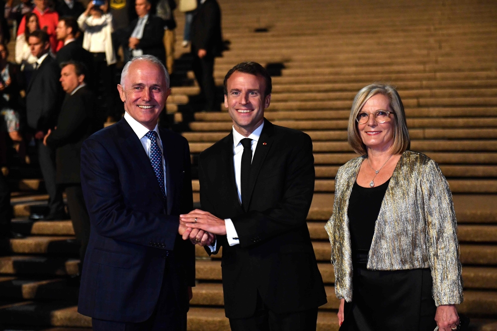 White House mystery solved over what happened to Macron's gifted oak tree White House mystery solved over what happened to Macron's gifted oak tree