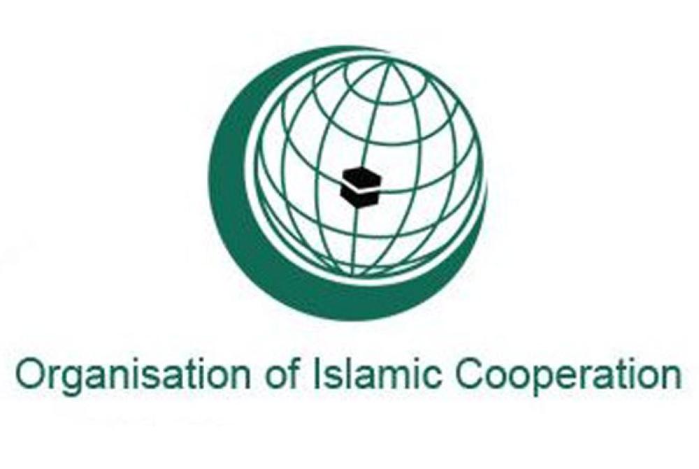 OIC salutes Palestinian people's resilience