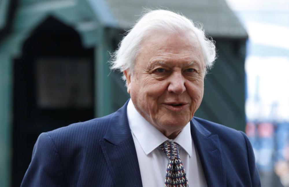 Caption: Naturalist David Attenborough arrives for a memorial service for his brother Richard Attenborough at Westminster Abbey in London in this March 17, 2015 file photo. — Reuters