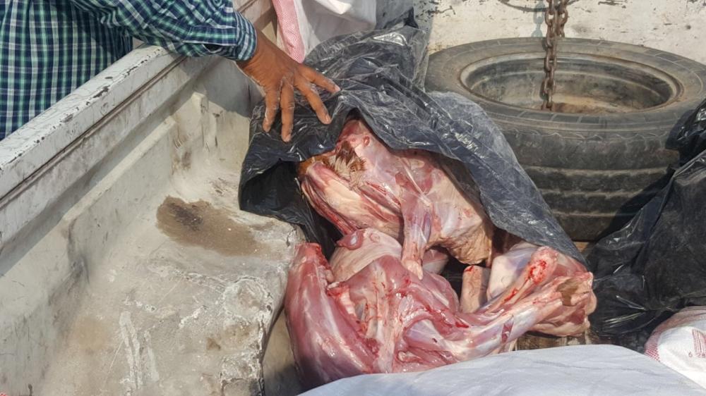 Meat of the matter: Haj scarified meat smuggled