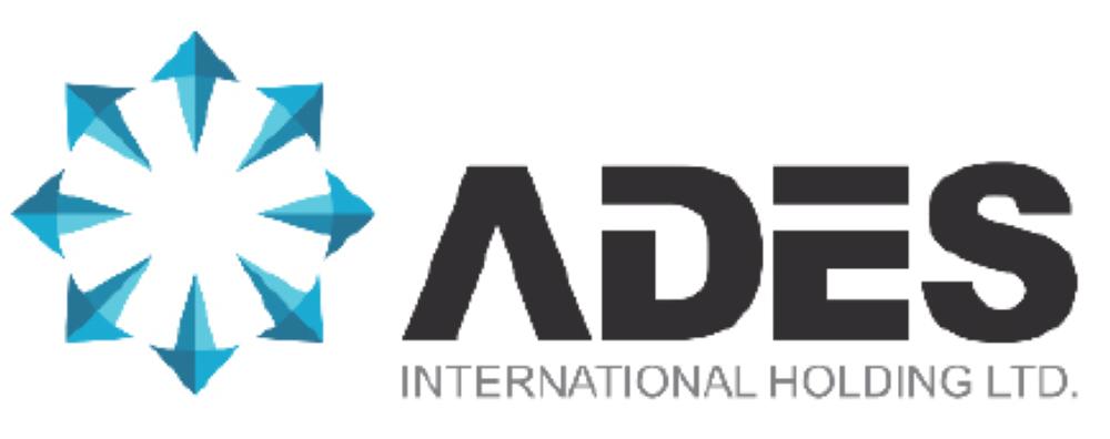 Ades. Premium International holding Ltd. Niku holding PLC Баден. Power International holding logo PNG.