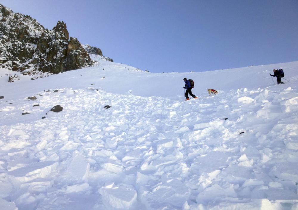 Search and rescue volunteers, along with an avalanche dog, search debris in an avalanche field for a missing skier on Imp Peak in the southern Madison Range in southwestern Montana on Monday. — AP
