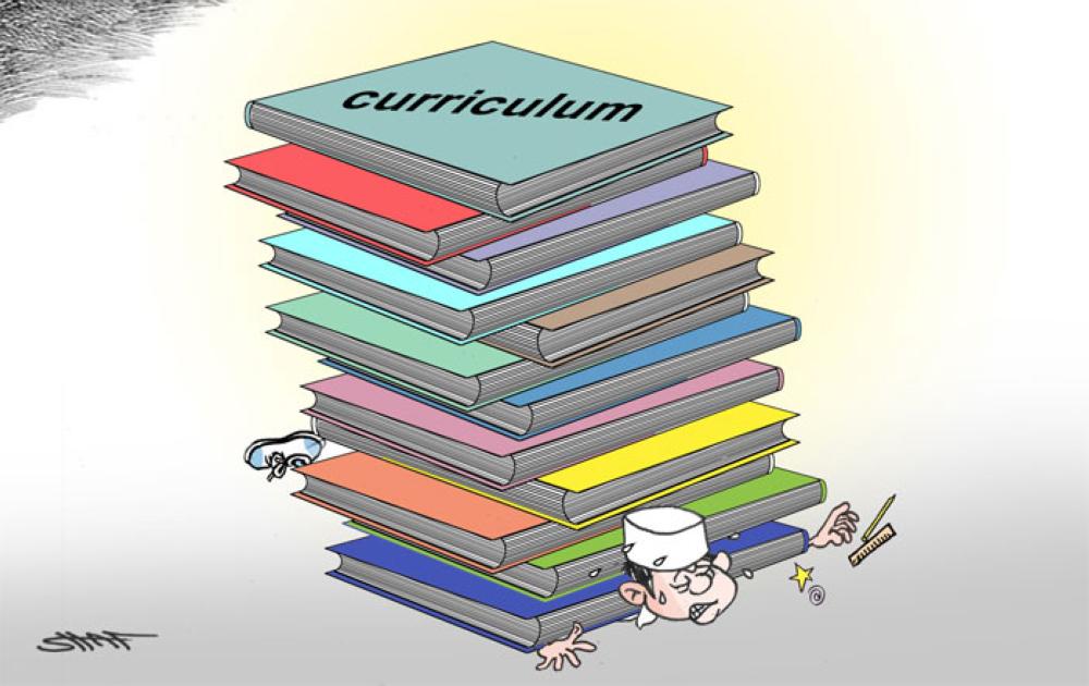 Curriculum
