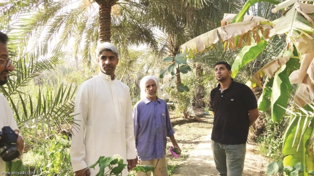 Volunteer team tries to prevent palm trees from extinction