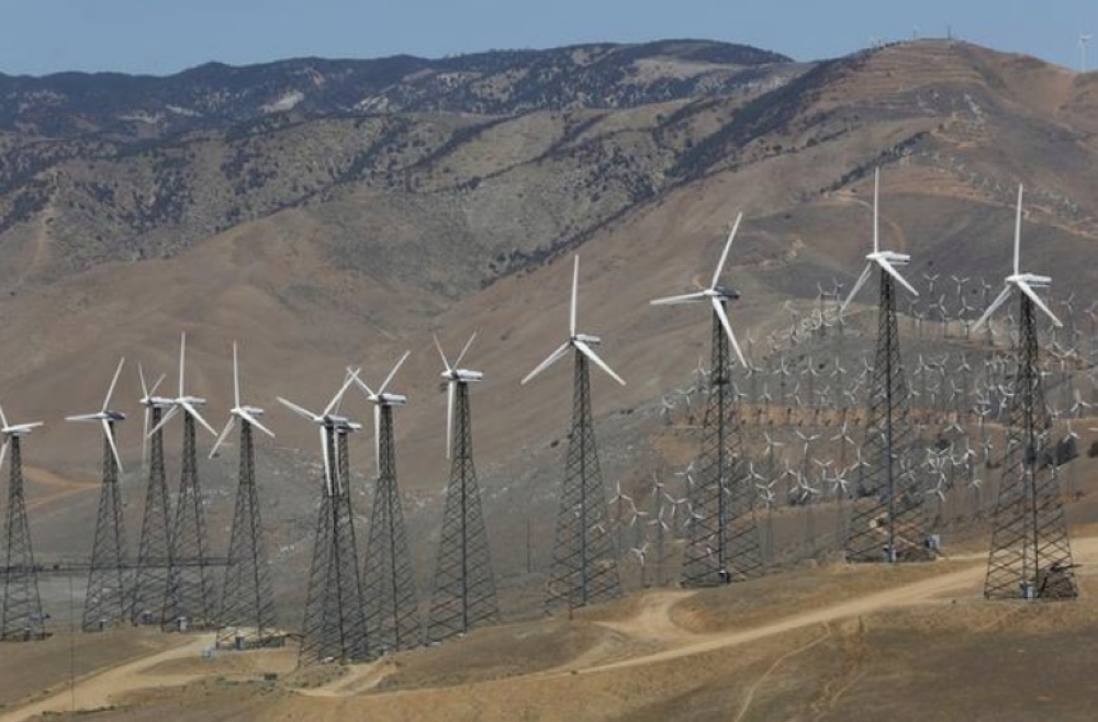 A wind farm, part of the Tehachapi Pass Wind Farm, is pictured in Tehachapi, California, seen in this file photo. — Reuters