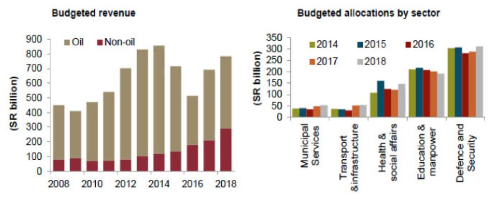 An expansionary budget with focus on diversification