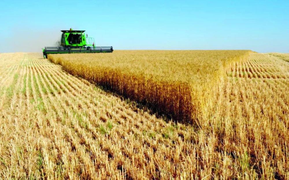 Saudi Arabia decided to import all its wheat needs to save large amounts of water used for irrigation.  