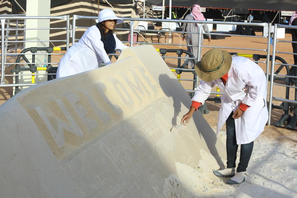 Indian sisters bewitch visitors to camel festival with sand art