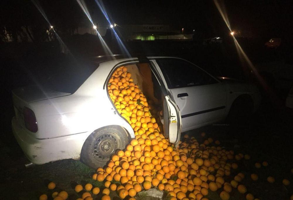 Oranges spill out of a vehicle that was pulled over by Spanish police in Seville.