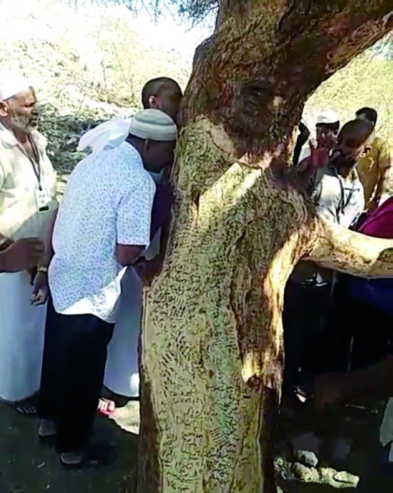 Some pilgrims are seen kissing a tree that they considered to be holy in village in Taif. — Okaz photo