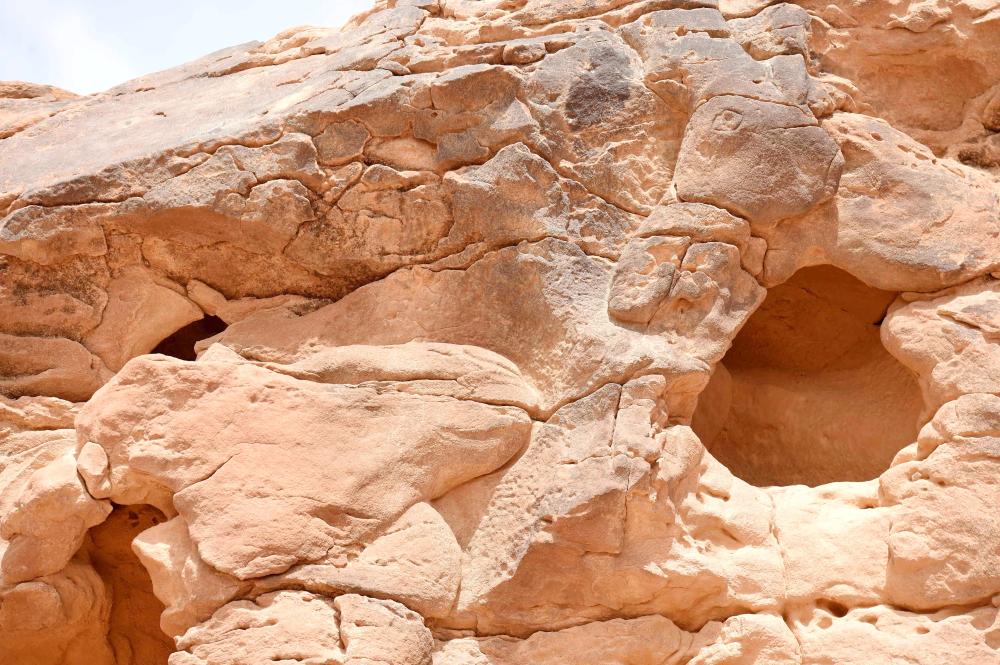


A picture shows carved sculptures of a donkey facing the partial head of a camel at the site of an archaeological discovery about eight kilometers north of the city of Sakaka in Saudi Arabia’s northwestern Al-Jouf province. — AFP
