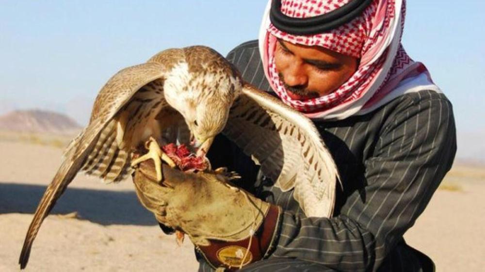 A look at UNESCO
Saudi heritage list
