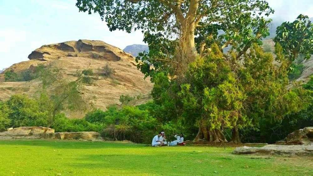 Al-Reath charms visitors with its stunning natural beauty