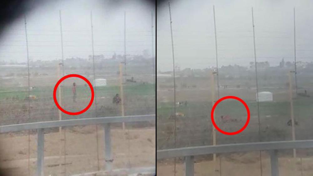 These two clips from a video show a Palestinian standing across the border in Gaza (right frame) and then he is shown falling to the ground (second frame) to whoops of excitement from the onlooker.