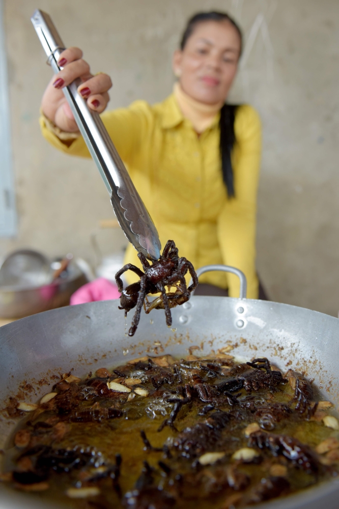 A Cambodian woman is seen frying tarantulas for tourists at Skun town in Kampong Cham province. While a plate piled high with hairy, palm-sized tarantulas is the stuff of nightmares for some, these garlic fried spiders are a coveted treat in Cambodia, where the only fear is that they may soon vanish due to deforestation and unchecked hunting. - AFP