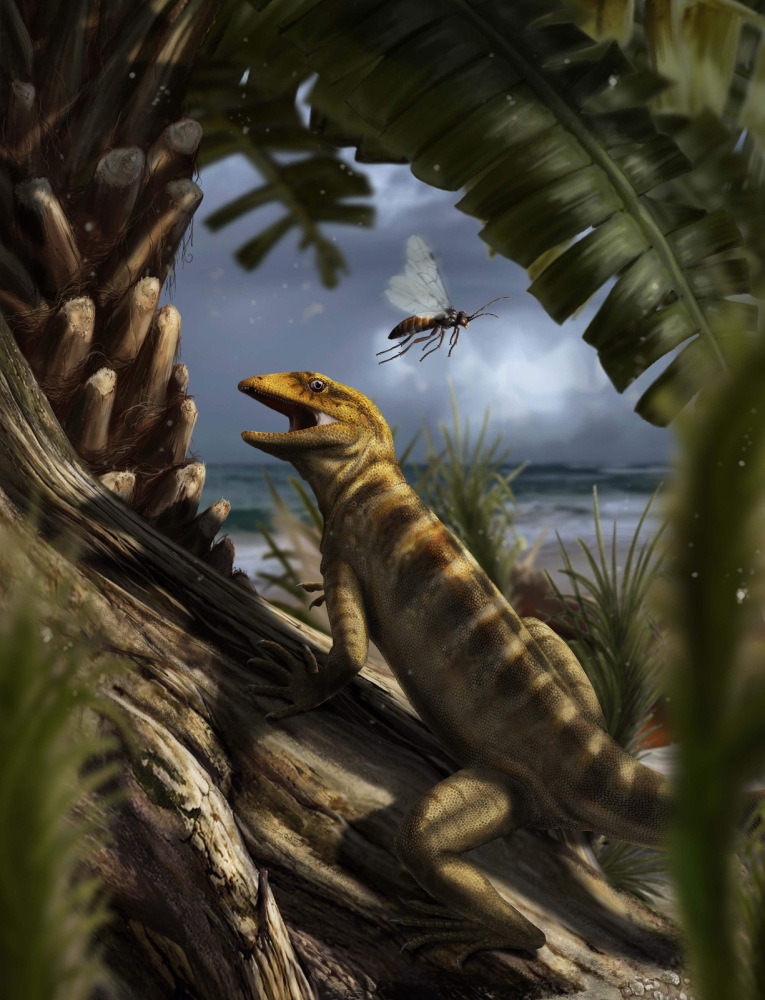 This handout picture received via the Nature website shows a life scene in the Dolomites region, Northern Italy, about 240 million years ago, with Megachirella wachtleri walking through the vegetation. The oldest-known member of the evolutionary lineage that led to the squamates (the group of animals that today includes snakes and lizards) lived in the Middle Triassic, some 240 million years ago, reports a paper in Nature this week. This finding dates both the origin of squamates and the split of the wider diapsid reptile lineages to before the Permian/Triassic mass-extinction, 252 million years ago.  — AFP