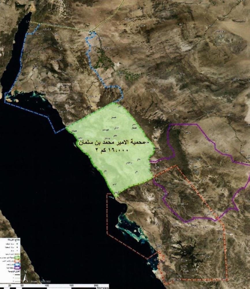 The area located between NEOM Project, Red Sea Project and Al-Ula, also known as Prince Muhammad Bin Salman Natural Reserve, has an area of 16,000 sq. km. The reserve will be under the presidency of the Crown Prince.