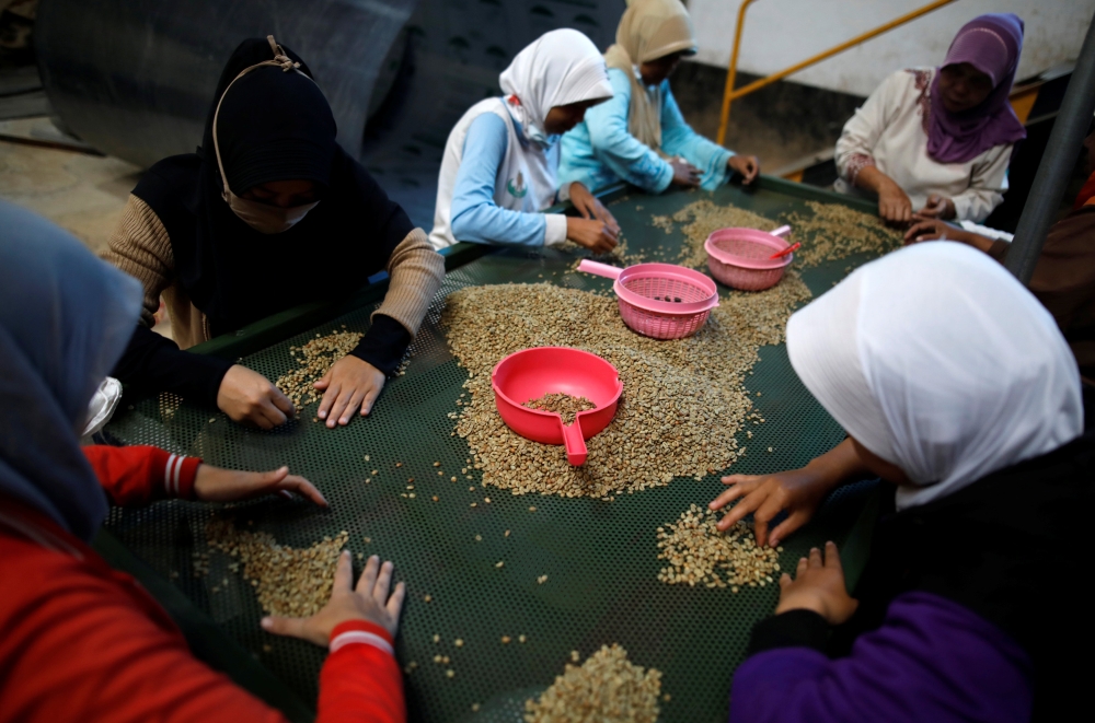 Workers dry arabica coffee beans at a coffee mill in Pangalengan, West Java, Indonesia. — Reuters