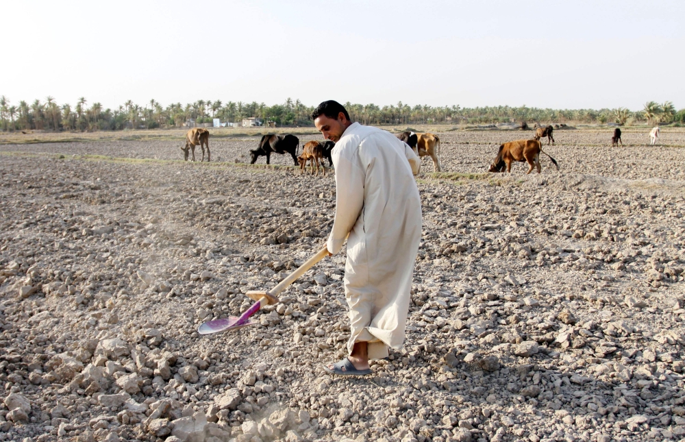 An Iraqi uses a shovel on a dry field in an area affected by drought in the Mishkhab region, central Iraq, some 25 km from Najaf, Monday. — AFP