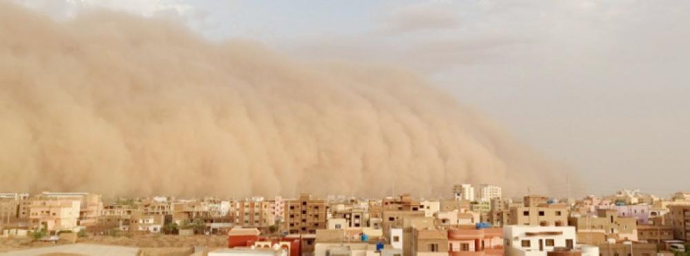 Be careful in the Sandstorm! - Saudi Gazette
