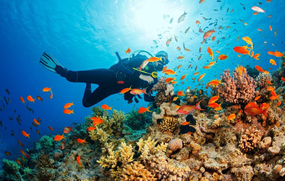 Philippines aims at being
a world leader for diving