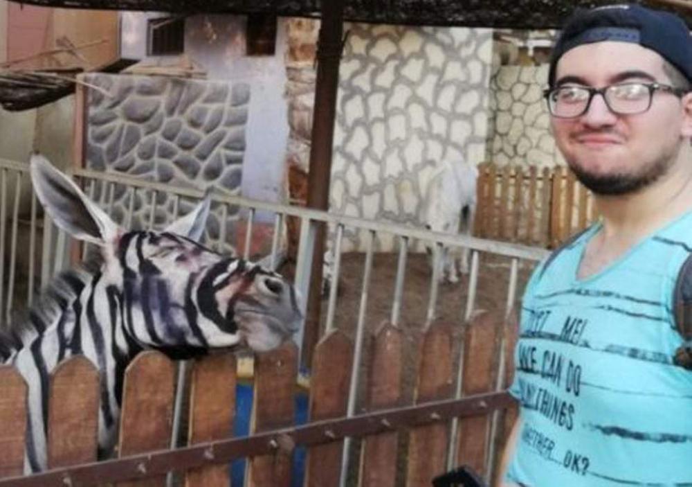 Mahmoud Sarhan is seen posing with a zebra whose stripes appear to be smudging at the Garden Municipal Park in Cairo, Egypt. 