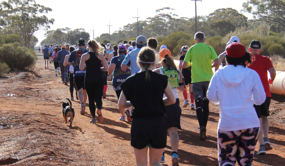 Stormy the dog is seen running in the Goldfields Pipeline marathon with other marathon runner near Kalgoorlie, Australia. - AFP