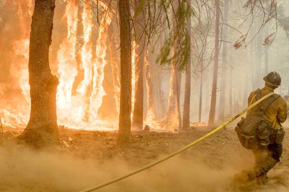Firefighter fight fire near torching trees as wildfire burns near Yosemite National Park in this US Forest Service photo released on social media from California in this Aug. 6, 2018 file photo. — Reuters
