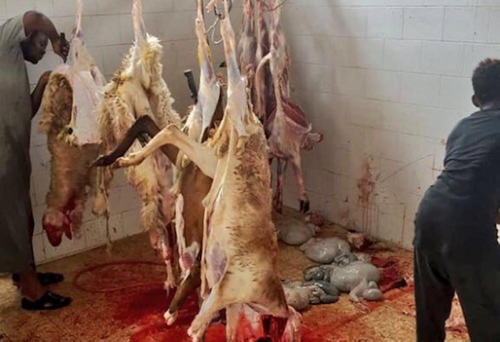 Rotten meat destroyed in Makkah