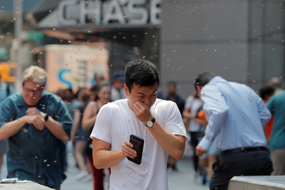 People react to a swarm of bees in Times Square in New York City on Saturday. - Reuters