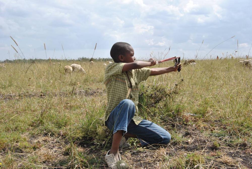 Eric Ndung'u, 11, aims at a bird with a slingshot, using a tree seed ball as ammunition, as he herds his family's goats near Kisaju, Kenya. - Thomson Reuters Foundation