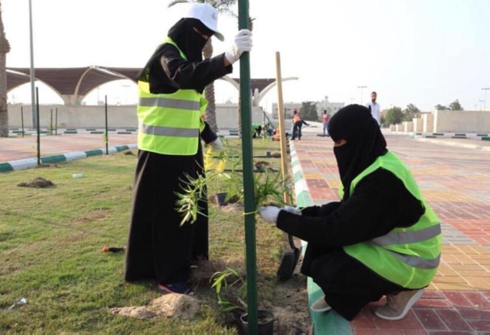 Tree planting drive