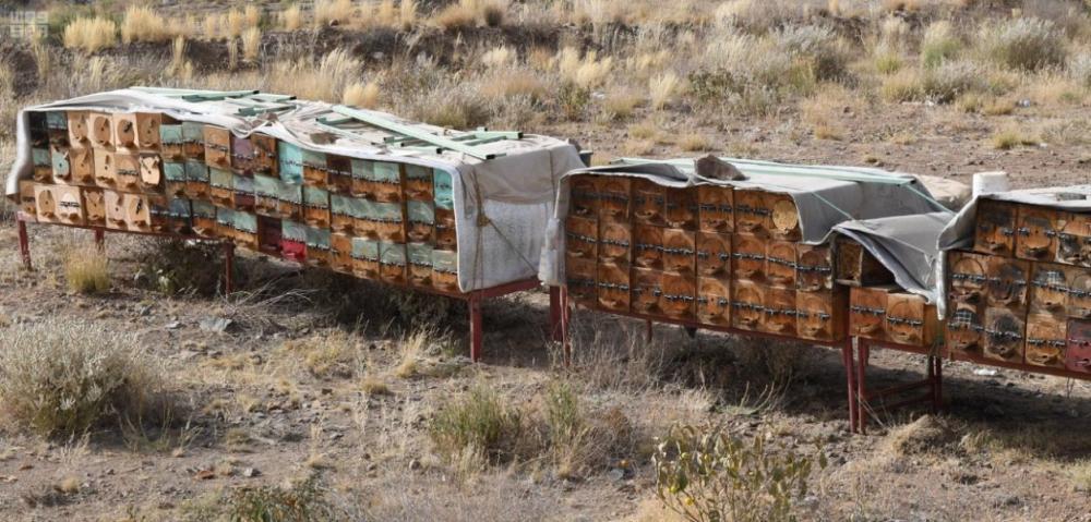 Dr. Omar Al-Fakeeh, director of agricultural affairs in Makkah, has rejected the allegations by the beekeepers against the  Ministry of Environment, Water and Agriculture.