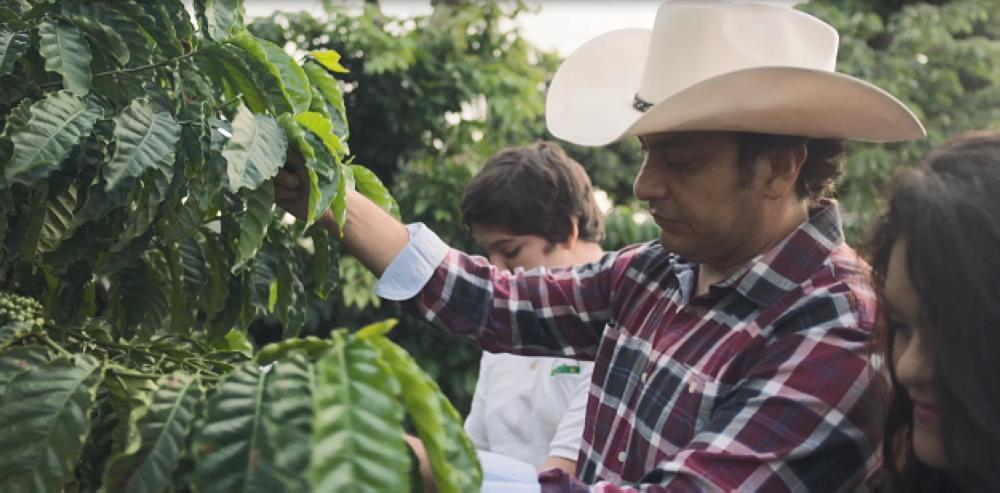 



Nescafé coffee farmers