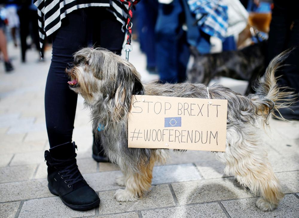 


Anti-Brexit protesters and their dogs join a march called ‘Wooferendum”, in London, Britain, on Sunday. — Reuters
