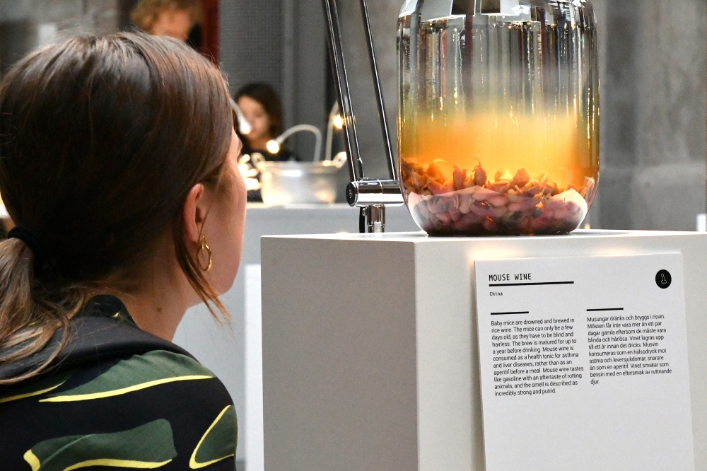 


A visitor looks at the Chinese mouse beverage, where baby mice are drowned and brewed in rice syrup, at the Disgusting Food Museum in Malmo, Sweden. — Reuters