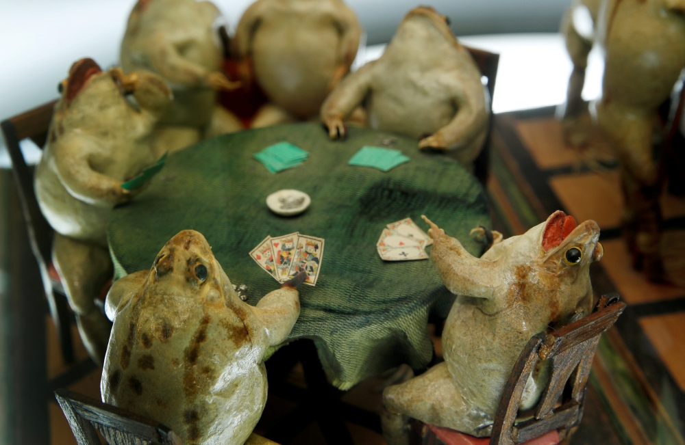 Frogs playing cards are pictured at the Frog Museum, a collection of 108 stuffed frogs in scenes portraying everyday life in the 19th-century and made by Francois Perrier, in Estavayer-le-Lac, Switzerland. — Reuters
