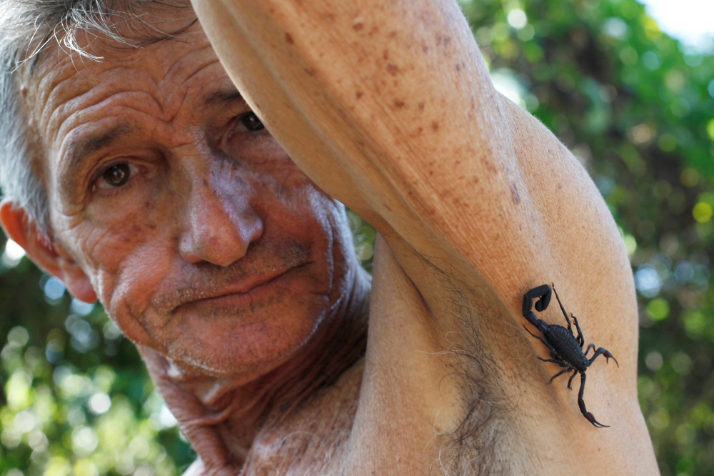 Farmer Pepe Casanas poses with a scorpion in Los Palacios, Cuba. — Reuters