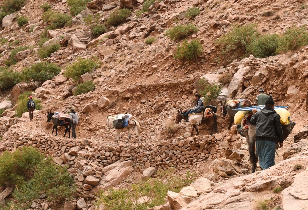 People ride on donkeys near the  village of Taghzirt, in Morocco's El-Haouz province in the High Atlas mountains. The bodies of two Scandinavian women with cuts to their necks were found in a village in Morocco's High Atlas mountains on Monday, the interior ministry said. The tourists, a Danish woman and another from Norway, were found with 