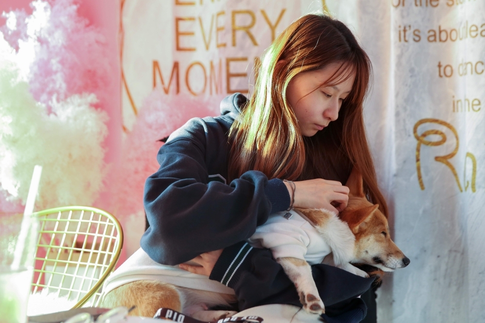 Liu Xinyi holding a corgi at the Hello Corgi Cafe in Shanghai. — AFP