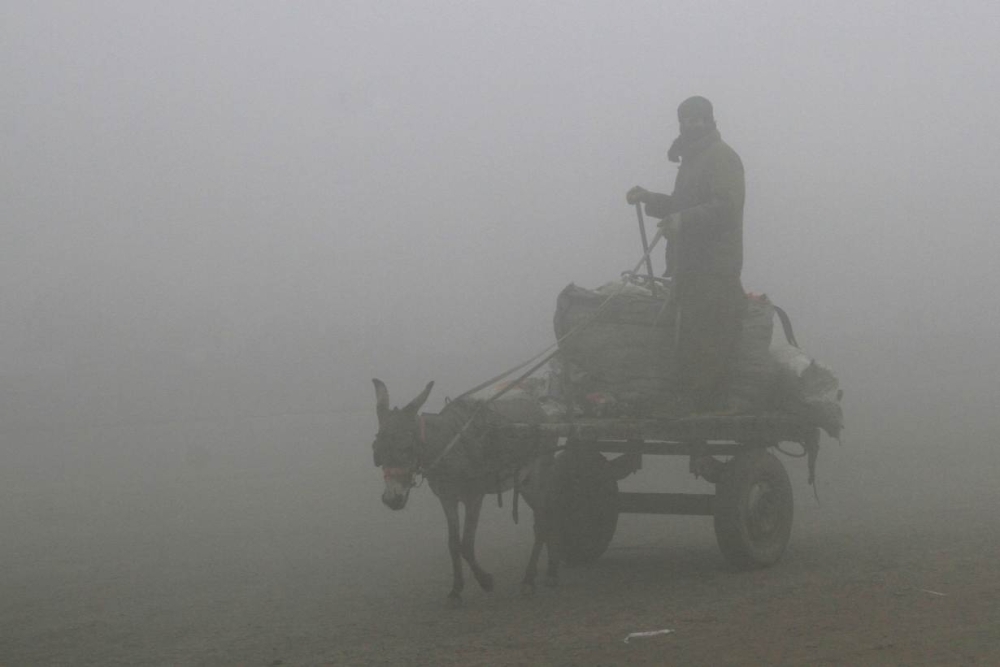 


A man guides his donkey and cart in heavy smog in Lahore, Pakistan, in this Jan. 26, 2018 file photo. — Reuters