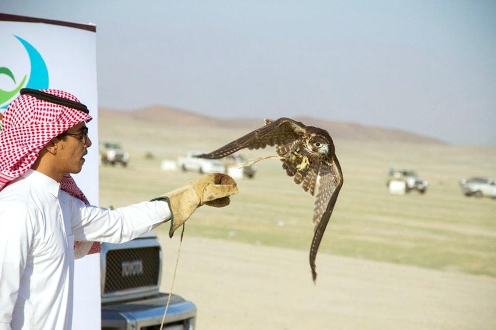 


The falconry festival reflects a renewed interest in reviving the deep-rooted Saudi heritage.