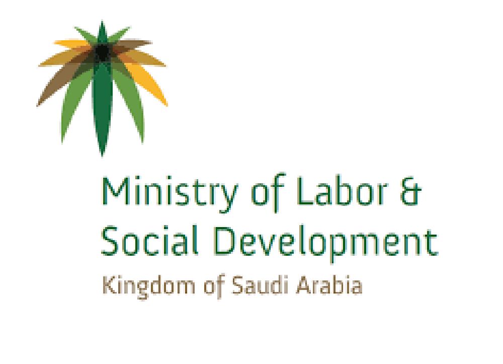 Compensatory visas for trades lacking qualified Saudis — MLSD