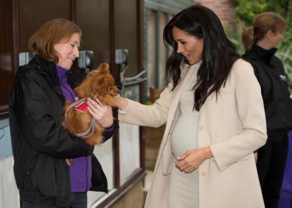 Meghan, Duchess of Sussex meets ‘Foxy’ during a visit to the animal welfare charity Mayhew in London, Britain. — Reuters