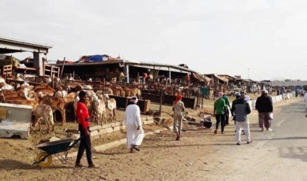 


The Kaakiyah livestock market during one of the last trading sessions.