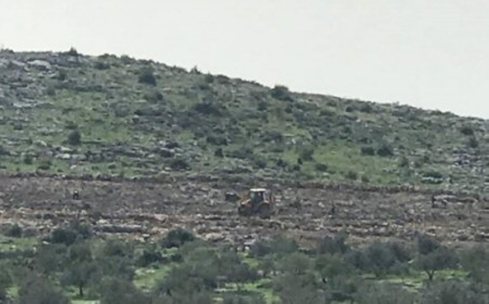 


Israeli bulldozers uprooted 300 almond and olive trees. — Courtesy photo