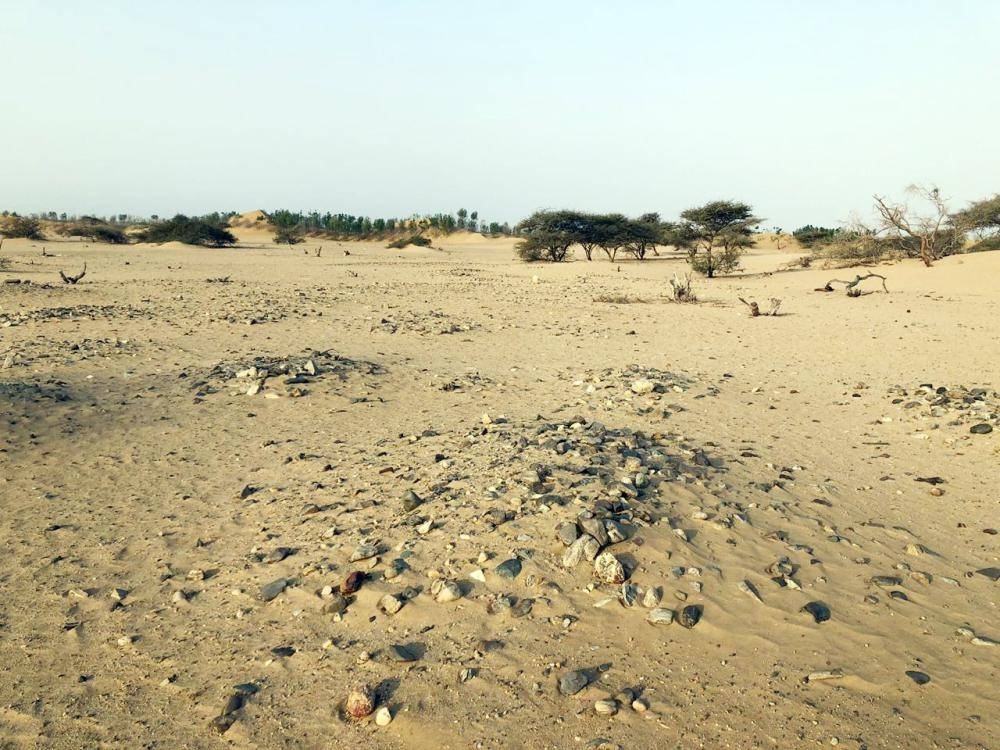 


The unfenced graveyard in Al-Mutahma village in Qunfudah governorate.