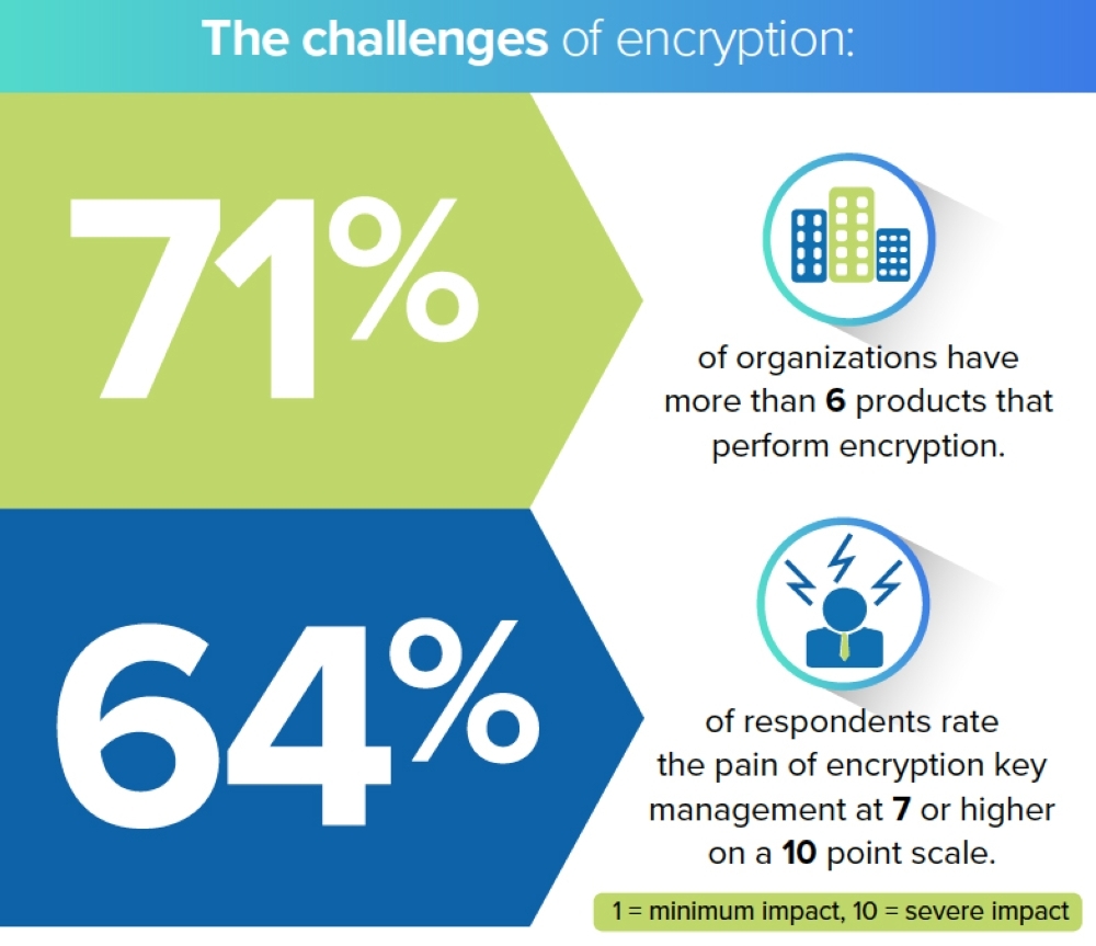 Mideast prioritizing encryption for cloud, IoT, emerging tech