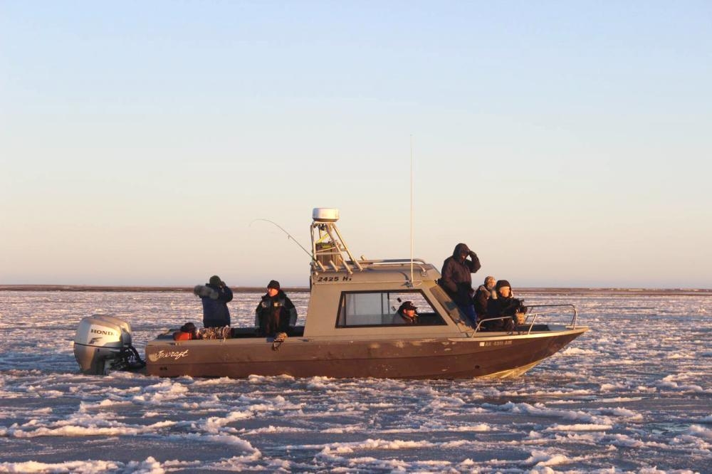 


Polar Bear viewing is done from a boat in Kaktovik, Alaska,in this Oct. 7, 2018 file photo. — Thomson Reuters Foundation